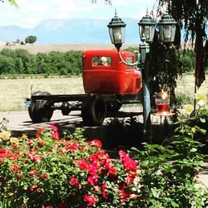 Meet your Posher, Becky